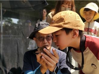 紫斑蝶史上最早北返突熄火 遷徙機制有待解謎