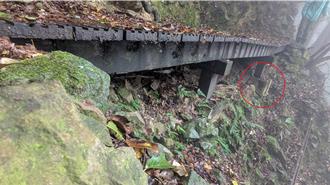 加里山大坪支線木棧道施工 雪見遊憩區施作無障礙步道