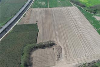 後壁玉米田施肥不當飄惡臭 環保局要開罰