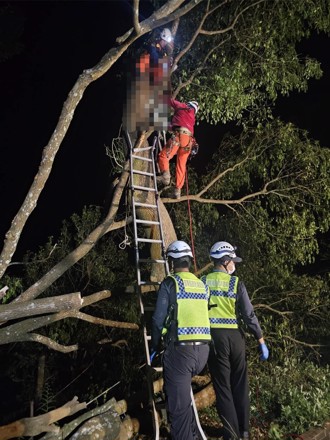 苗栗7旬翁鋸樹遭斷枝擊斃  卡樹上1天後才發現