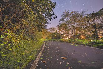 夜訪鯉魚潭 花蓮賞螢專車4月11日起開動