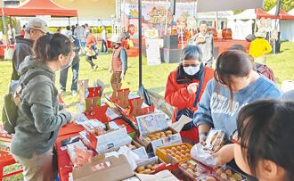 太平枇杷节压轴 存货抢购一空