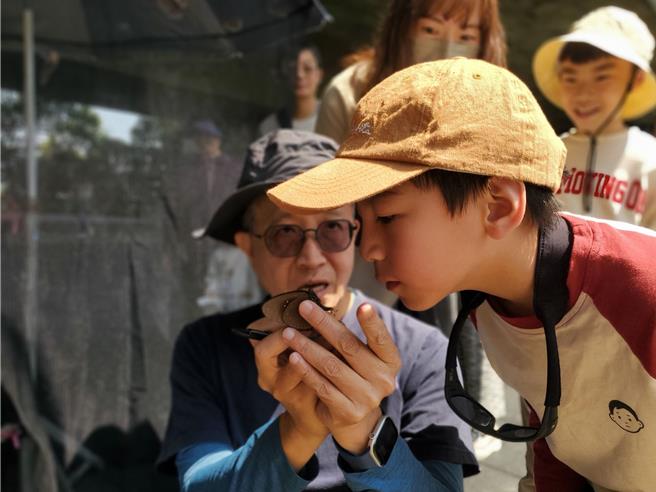 台湾紫斑蝶生态保育协会志工标放紫斑蝶，野放前让小朋偶闻闻公蝶的荷尔蒙气味。（周丽兰摄）
