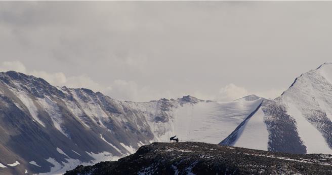 马修连恩极限挑战在洛根山演奏钢琴。（独一无二娱乐文化提供）