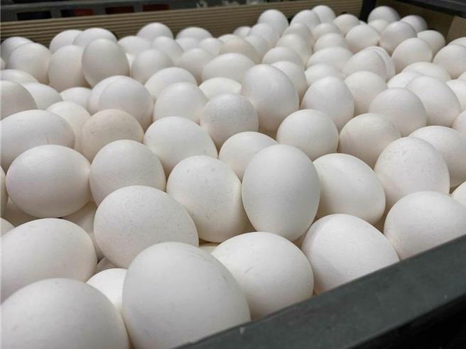 我国鸡蛋产量自1月起持续下跌，目前已达每日12万箱，与每日需求数量约莫持平，而背后原因为禽流感及天气变化剧烈影响，台北市蛋商业同业公会理事长林天来表示，下周起鸡蛋产销价调涨2元，周一批发价达每台斤42元，产地价则是周三调升，每台斤32.5元。（本报系资料照）
