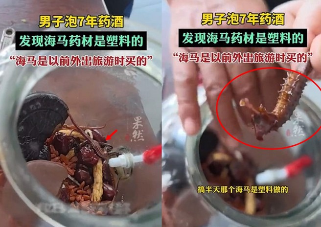 喝了7 年的海马药酒，快喝完才发现海马是塑胶做的，难怪泡不烂！（翻摄微博）