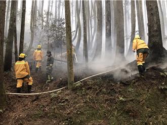 近5成森林大火集中3至4月 農業部提醒「清明祭祖用火須注意」
