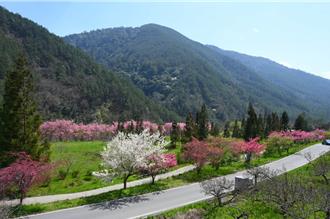 清明連假武陵、福壽山訂房率達9成 谷關僅4成原因曝