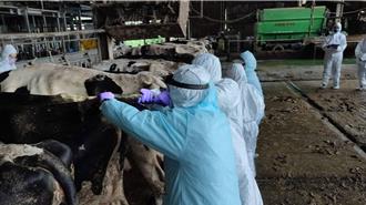 動保處把關鮮乳食品安全 結核病零檢出