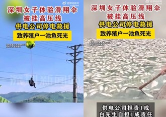 飞行伞女惨挂高压线「断电救人」 陆养殖户怨惨死一片