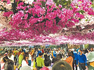 台南 蘭展加持 農特產館熱銷800萬