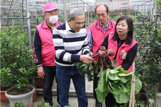板橋三民社區自種蔬果供老人共餐 吸引日議員參訪取經