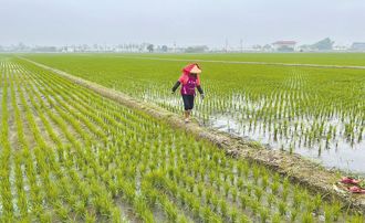 助嘉義地震受災農漁民渡難關 農金署推專案農貸展延免息