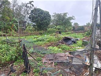 宜蘭交通欠款大戶高達653筆　近千萬元菜園遭法拍