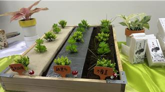 農用紙膜「護環境降農損」有望成有機農栽種利器