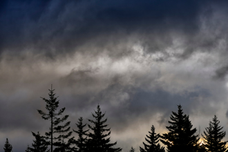 春分起「室火豬星」肆虐！6類人恐遭血光、劫難