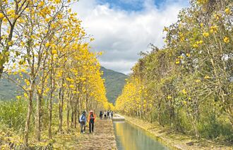 清明連假 花蓮住房率僅3成