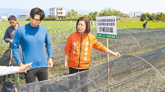 宜蘭市公所資材補助 青蔥供量飆3倍