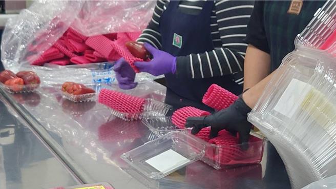 為確保每一顆蓮霧的最佳品質與口感，集貨包裝場在選果及包裝蓮霧的過程中，都細心地佩戴手套以確保果物外觀完整，展現對外銷品質的嚴格把關。（高雄市農業局提供／林雅惠高雄傳真）