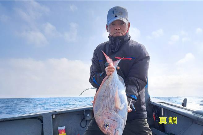 随着春季来临，海水温度逐渐回升，苗栗西海岸一带进入海钓旺季。钓获一尾真鲷。（联合钓具提供／吕丽甄苗栗传真）