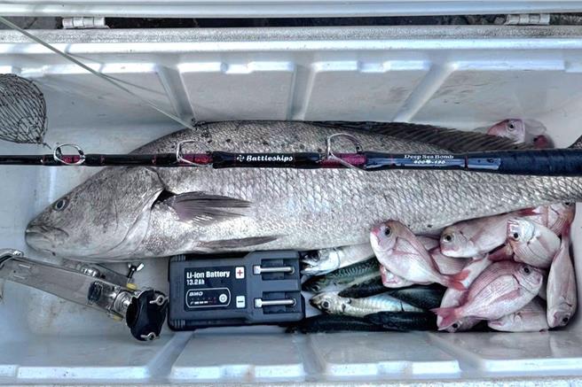 随着春季来临，海水温度逐渐回升，苗栗西海岸一带进入海钓旺季。近日，钓客在龙凤渔港附近海域钓获多尾大型鱼类，包括一尾重达20斤的红甘及一尾17斤的大鮸鱼。（联合钓具提供／吕丽甄苗栗传真）