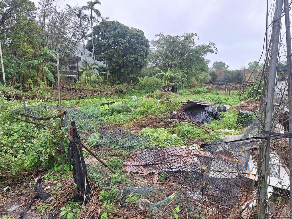 礁溪法拍千萬菜園。（行政執行署宜蘭分署提供／吳佩蓉宜蘭傳真）
