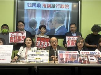 拐杖傷人！柯建銘竟嗆徐巧芯「快告」：偽證要關