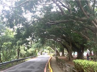 福和運動公園河濱通道陳舊 高灘處重鋪加蓋板人車可分流