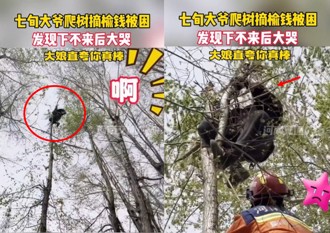 陸翁爬樹偷摘「榆錢」受困哭喊 大媽邊笑邊報警求援