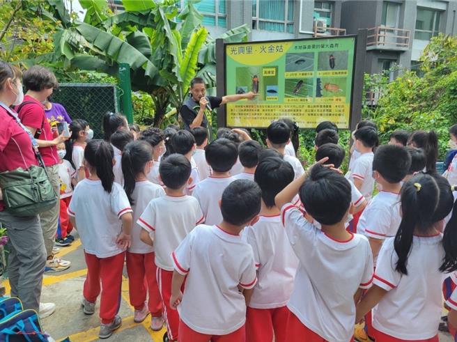 新北市树林区光兴里萤火虫季将于4月4日展开，今年龙华科技大学也挹注800只萤火虫幼虫，供幼儿园师生前往体验野放活动，生态教育意义深远。（树林区公所提供）