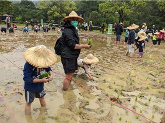 新北汐止農會推食農教育 邀民眾3／29體驗赤腳插秧