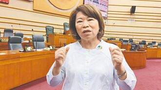 嘉市 苦等輕軌20年 盼納大南方計畫