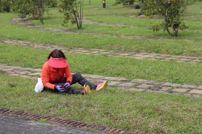 「一叶草」一斤值千元，引起民眾拔草。（图／翻摄自北市政府观光传播局网站）