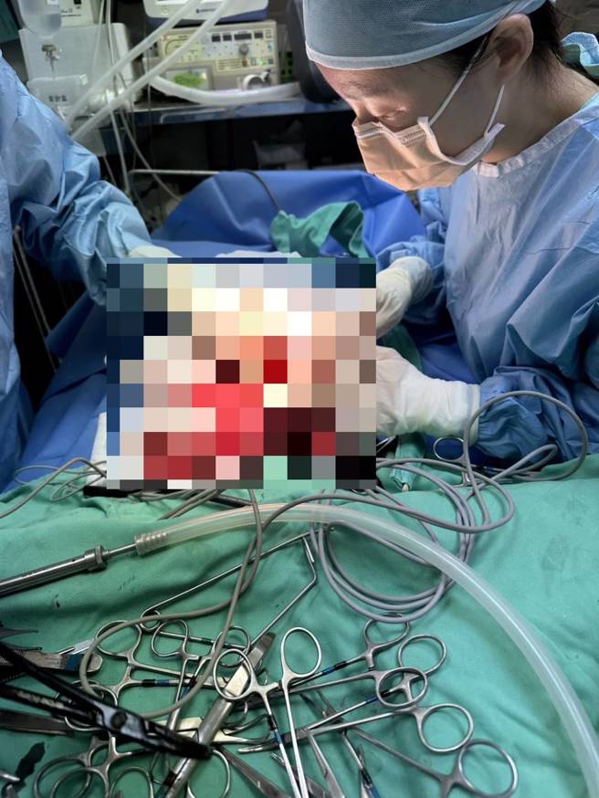 獸醫師手術將破裂脾臟摘除止血。（獸醫師劉懿澍提供）