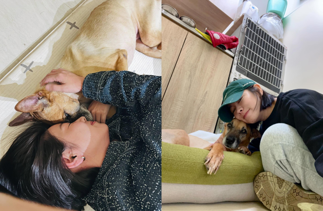 米可白发文曝爱犬「钱钱」病况。（图／翻摄自Threads @mimi00419）