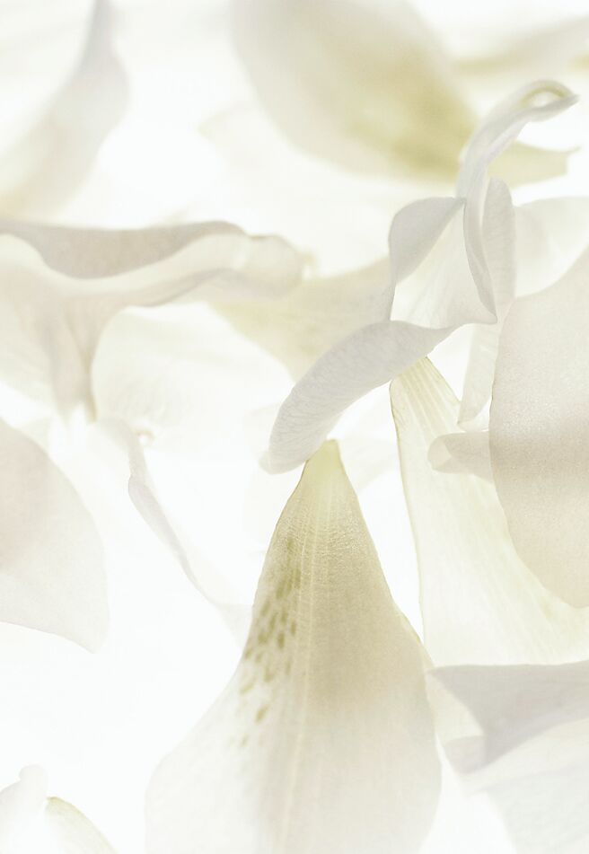 光感是所有女性的保養目標。（CHANEL提供）