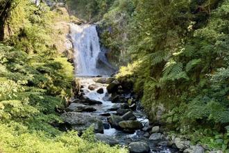 連假出遊12歲以下免費入園！ 闔家「童」樂國家森林遊樂區