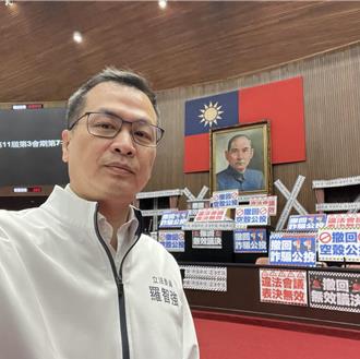 轟吳沛憶、黃捷做賊喊捉賊  羅智強曝被「她」掌摑：誰沒水準？