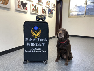 每次地震都有牠！缅甸7.7强震 台湾「6只搜救犬」整装待发