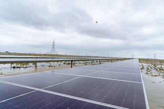 供應鏈漲 太陽能廠獻策迎擊