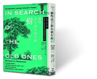 那些活了很久很久的树
