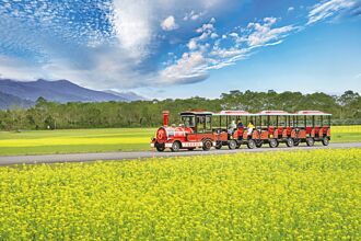 花蓮趣－春遊繁花 盛開花蓮