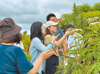 新北开课程 辅导农村再生永续