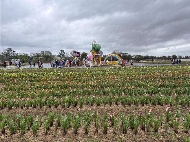 2025桃园彩色海芋季3月29日起至4月6日于大园区溪海休閒农业园区登场。（廖姮玥摄）