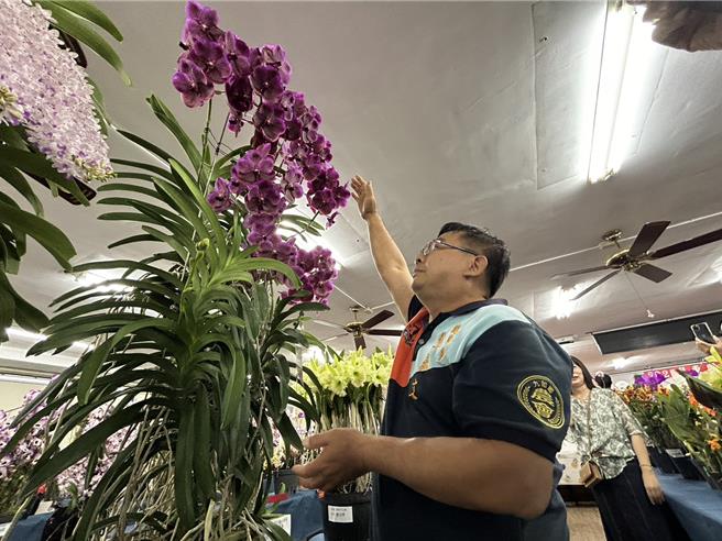 第27屆台灣蘭花節29日登場，當中高160公分、開出9梗90朵花的全場總冠軍萬代蘭破參展紀錄。（謝佳潾攝）