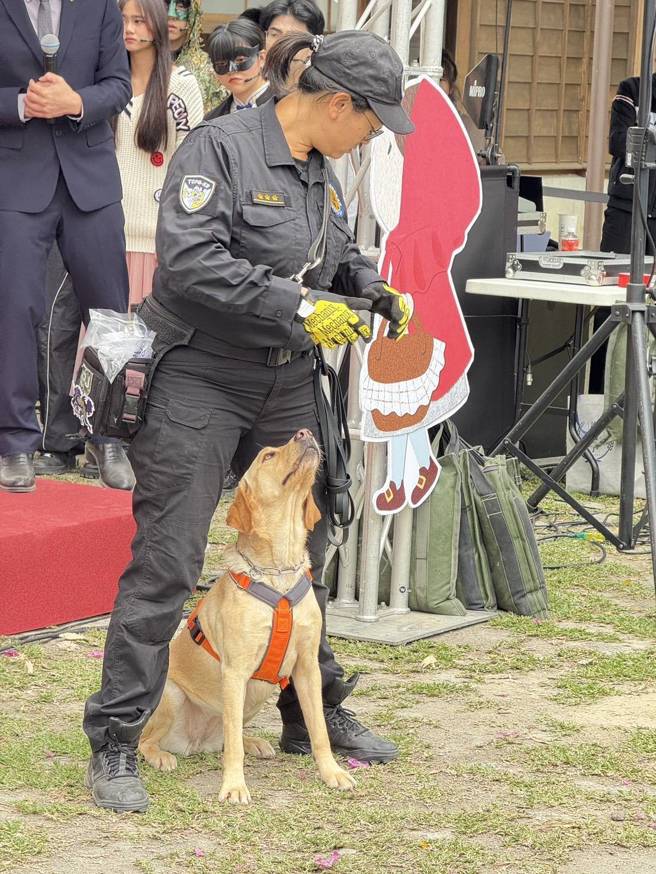 警方特别派出全台首只「双功能警犬」Uhoo，现场示范路径追踪技术，精准找出藏匿的车手，追回被害人血汗钱。（图警方提供／简铭柱翻摄）