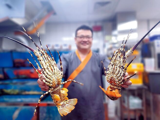 「橘色涮涮屋」台中館供應活體特大號龍蝦，連頂級粵菜海鮮餐廳都少見此規格檔次的活龍蝦。圖／姚舜