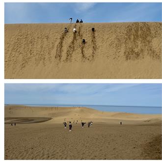 日本鳥取這樣玩！絕美打卡熱門景點、必吃美食揭密