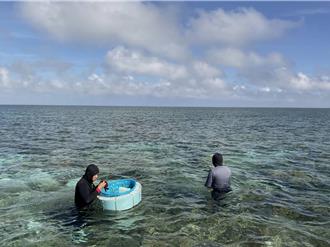 守護東沙環礁 公園署：加強執法打擊陸船越界採捕