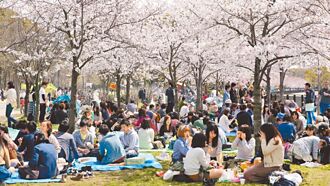 出國賞櫻 產險業強打法定傳染病保障